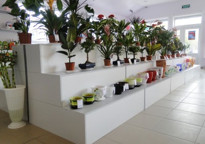 Оборудование для цветочных магазинов